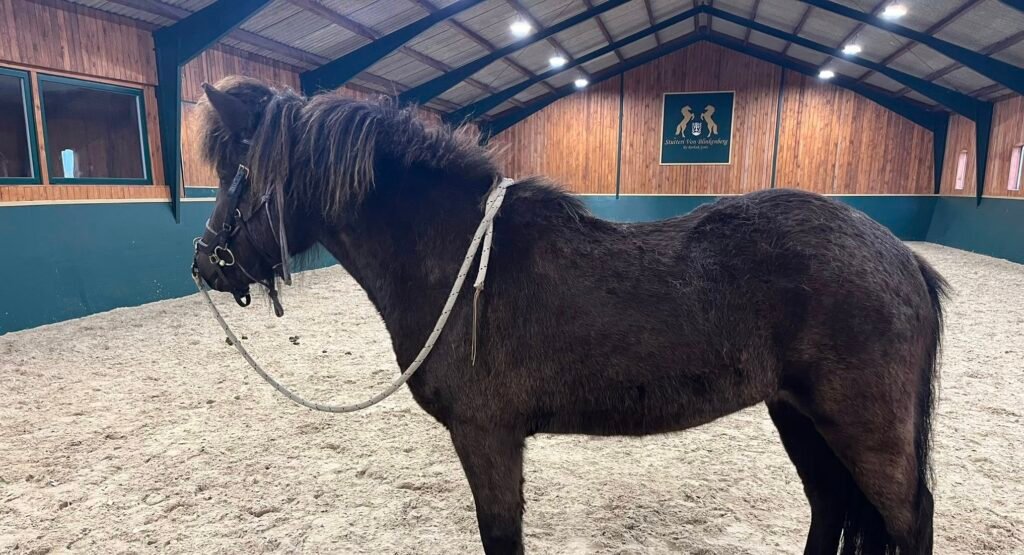 491321675_10162657196803750_2317390031106942489_n