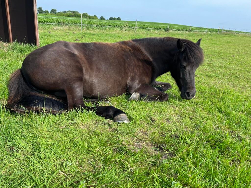 492735375_10162947638023750_734665027449512380_n