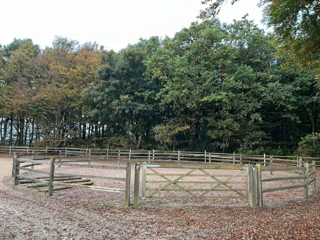 516489070_10163044786478750_1828942385862383289_n