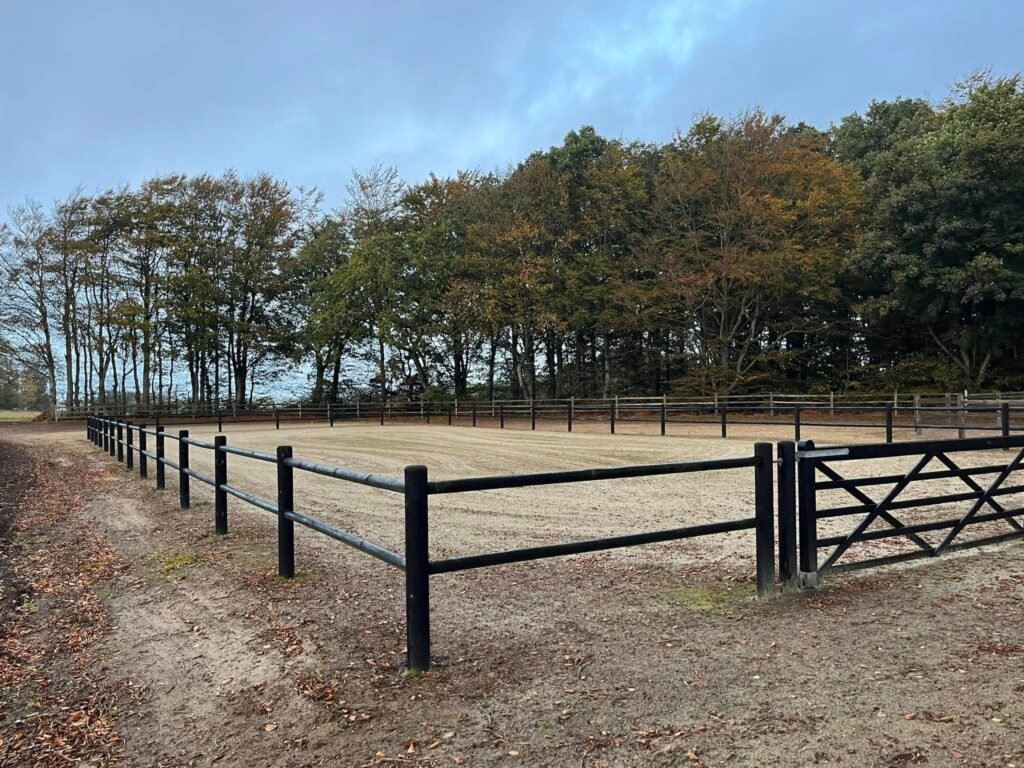 516645360_10163044786803750_4296509382725359385_n