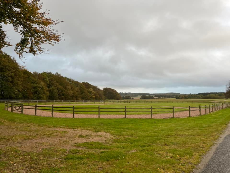 516793019_10163044786683750_5253247670807972067_n