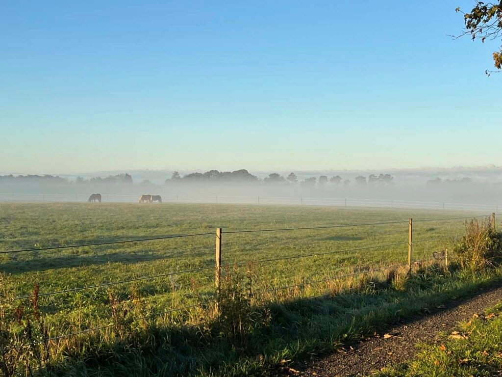 517653150_10163044759713750_4626402659051854660_n