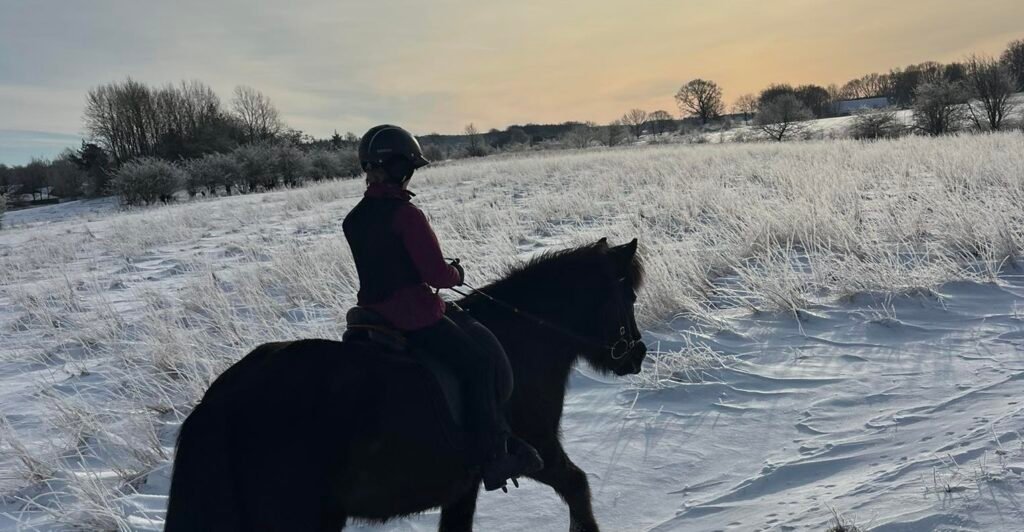 622795657_10163893037873750_6721172642709604696_n