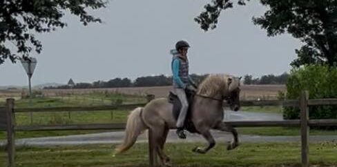 611769329_10163806461868750_4741844240001621222_n