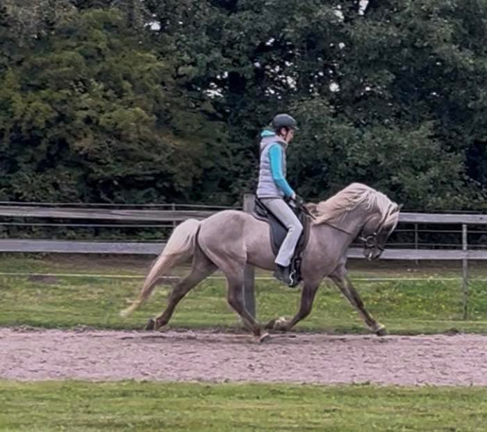 616272133_10163838637268750_8136320790229971436_n